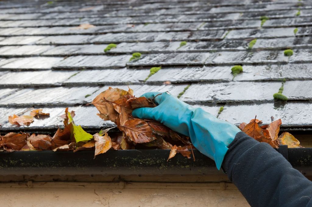 Gutter cleaning